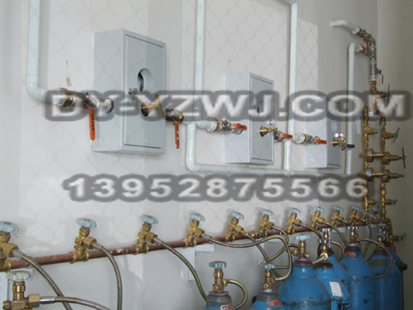 20SYQ医用氧气汇流排